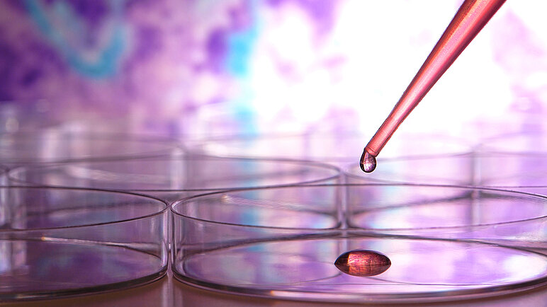 Grupa Badawcza Biochemii