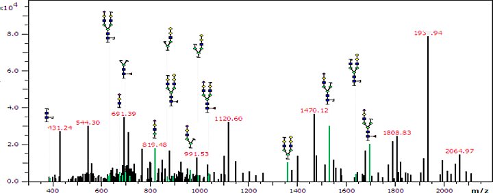 Badania związane z aptamerami i badaniem nowotworów